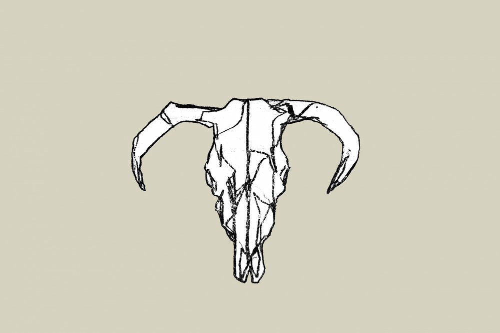 Crâne de taureau rustique - cartissi