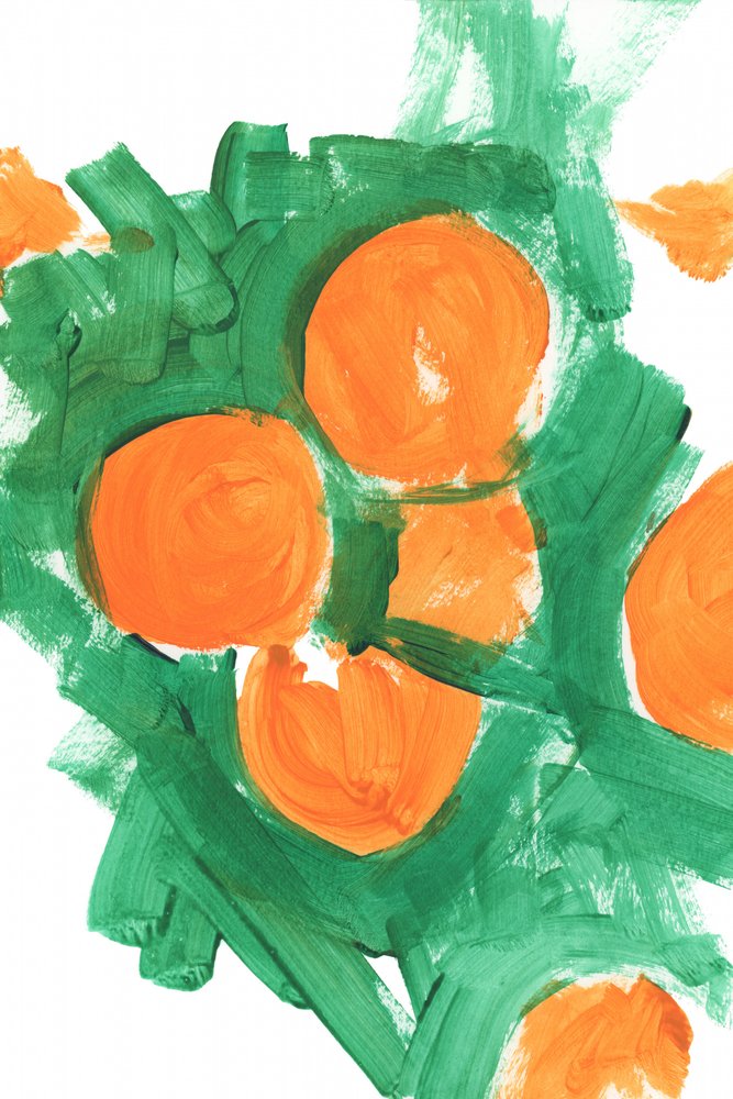 Fruits orange vif - cartissi