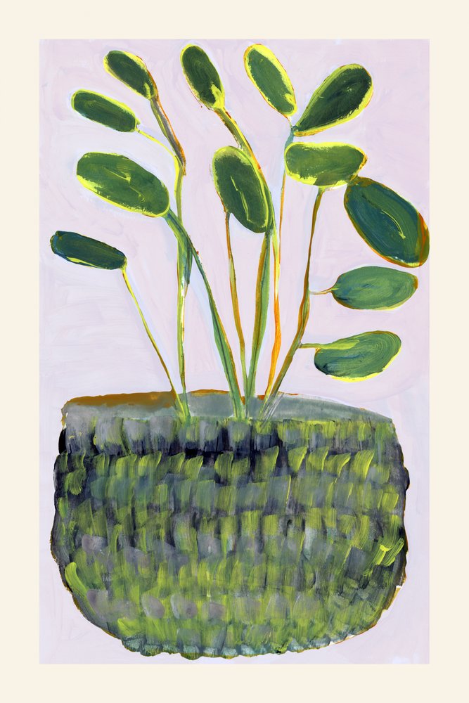 Plante en pot aux couleurs vives - cartissi
