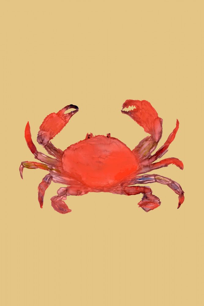 Crabe rouge vif - cartissi