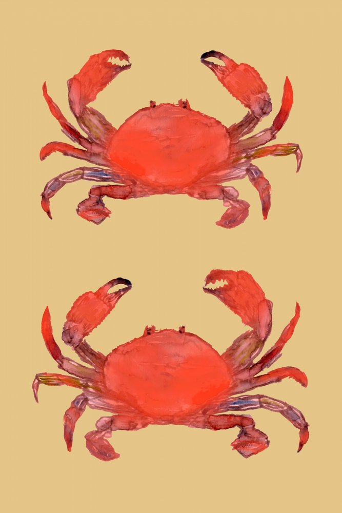 Des crabes d