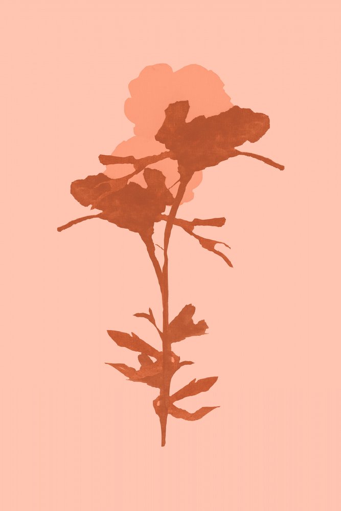 Une floraison botanique chaleureuse - cartissi