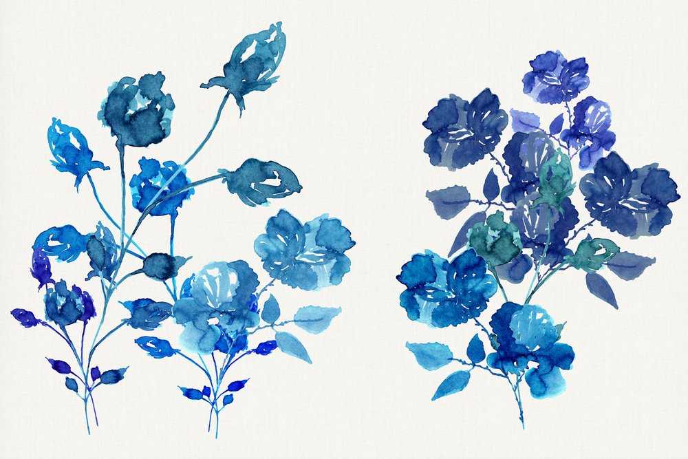 Fleurs bleues à l