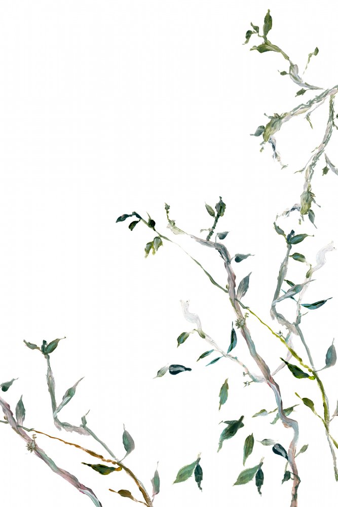Feuilles vertes à l
