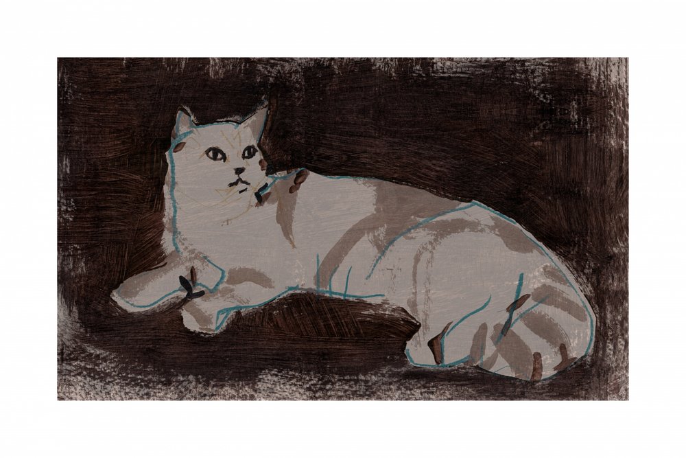 Un chat blanc au repos - cartissi