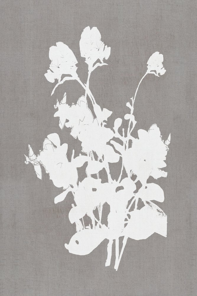 Silhouette florale blanche - cartissi
