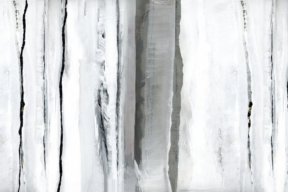 Abstraction de la Forêt Blanche - cartissi