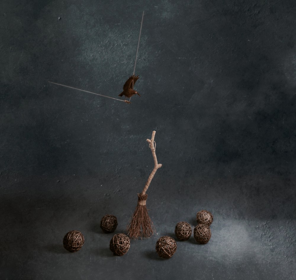 Balai magique et oiseau volant - chenyi wang