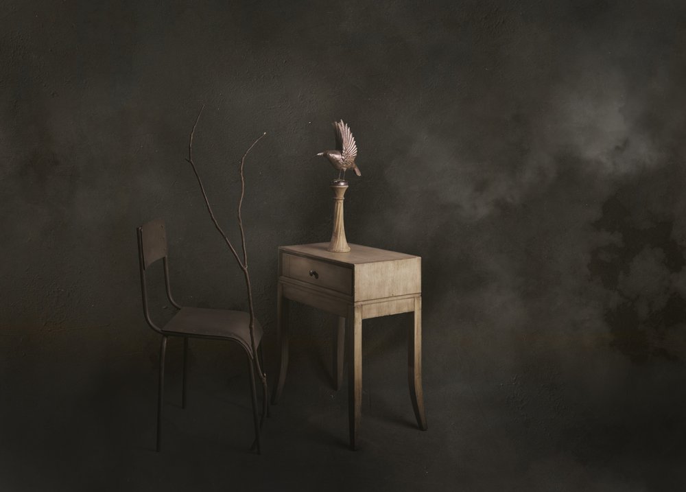 Scène paisible avec des oiseaux - chenyi wang