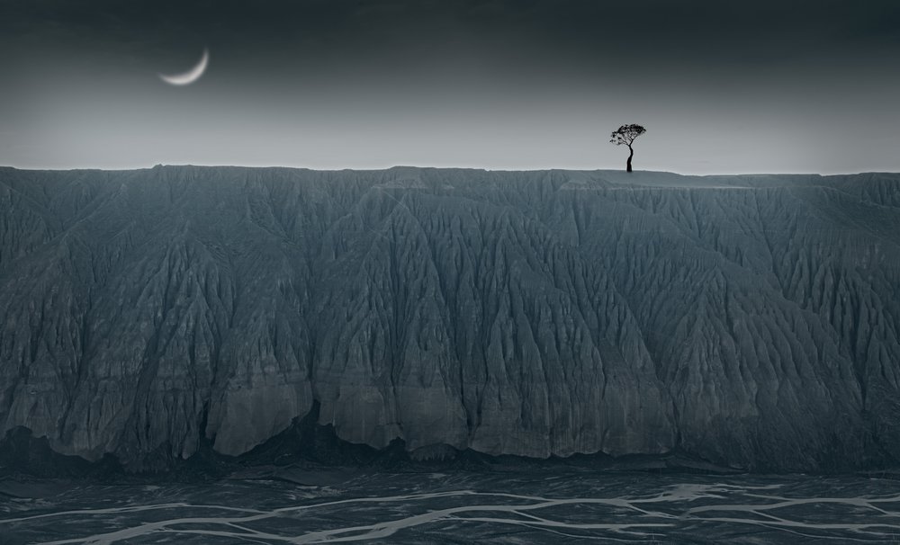  - chenyi wang