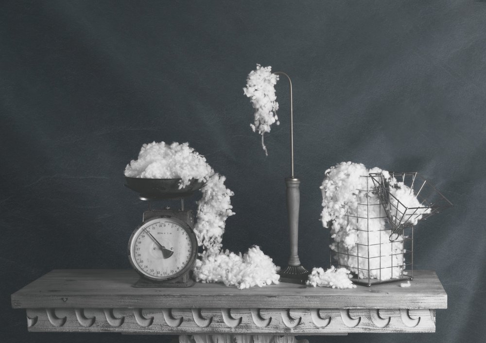 Nature morte vintage en coton - chenyi wang