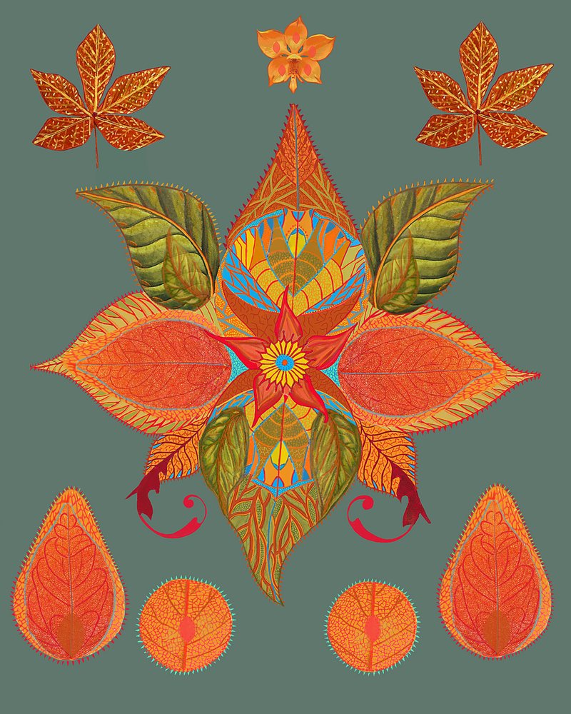 Des plantes d