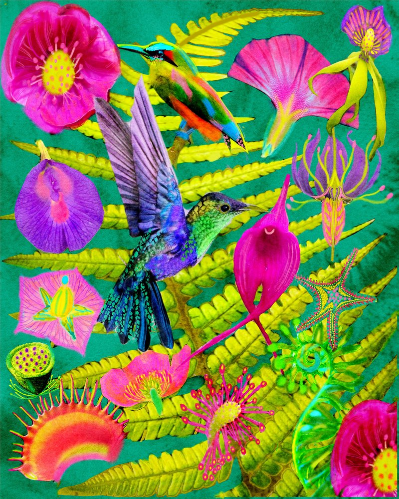 Un jardin tropical haut en couleur - giovanna nicolo