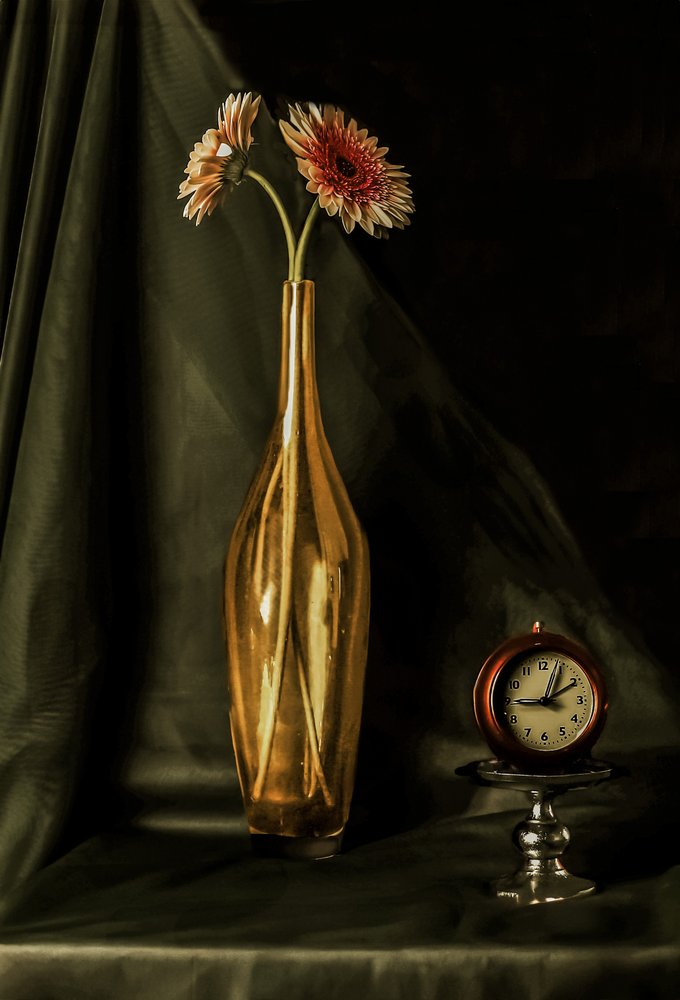 Nature morte aux gerberas dorées - jlloydphoto