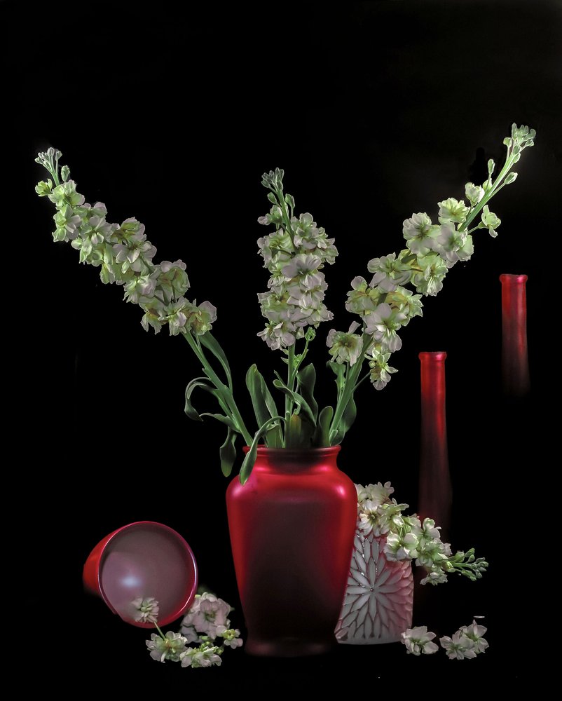 Fleurs vertes dans des vases rouges - jlloydphoto