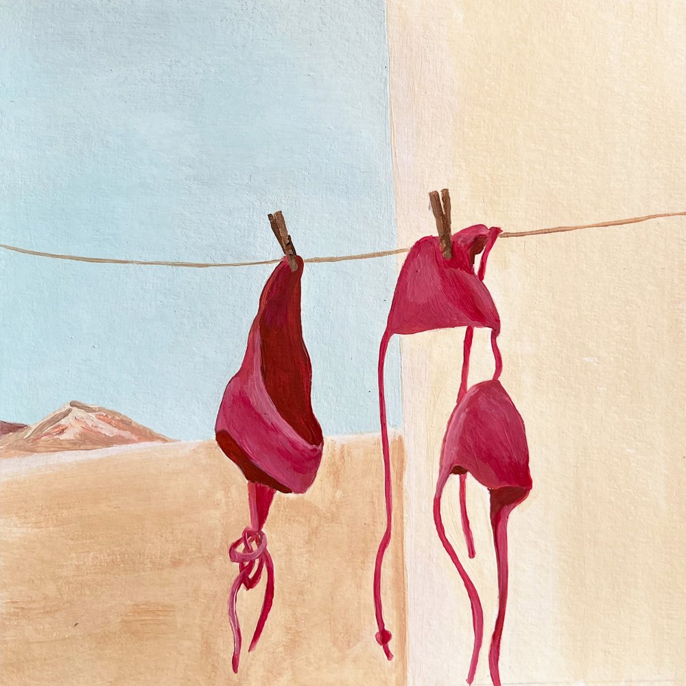 Bikinis du désert - marina dorgan
