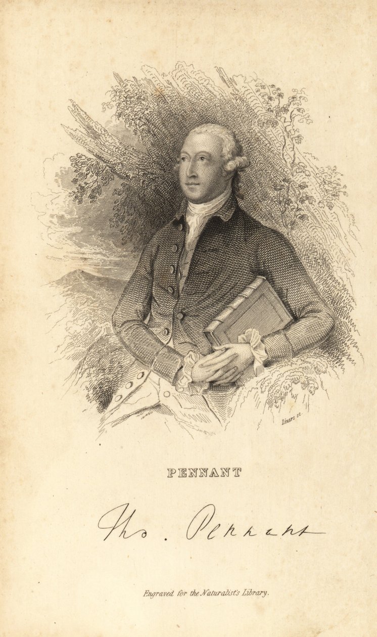 Thomas Pennant, naturaliste, écrivain et antiquaire gallois, 1726-1798 - Unknown