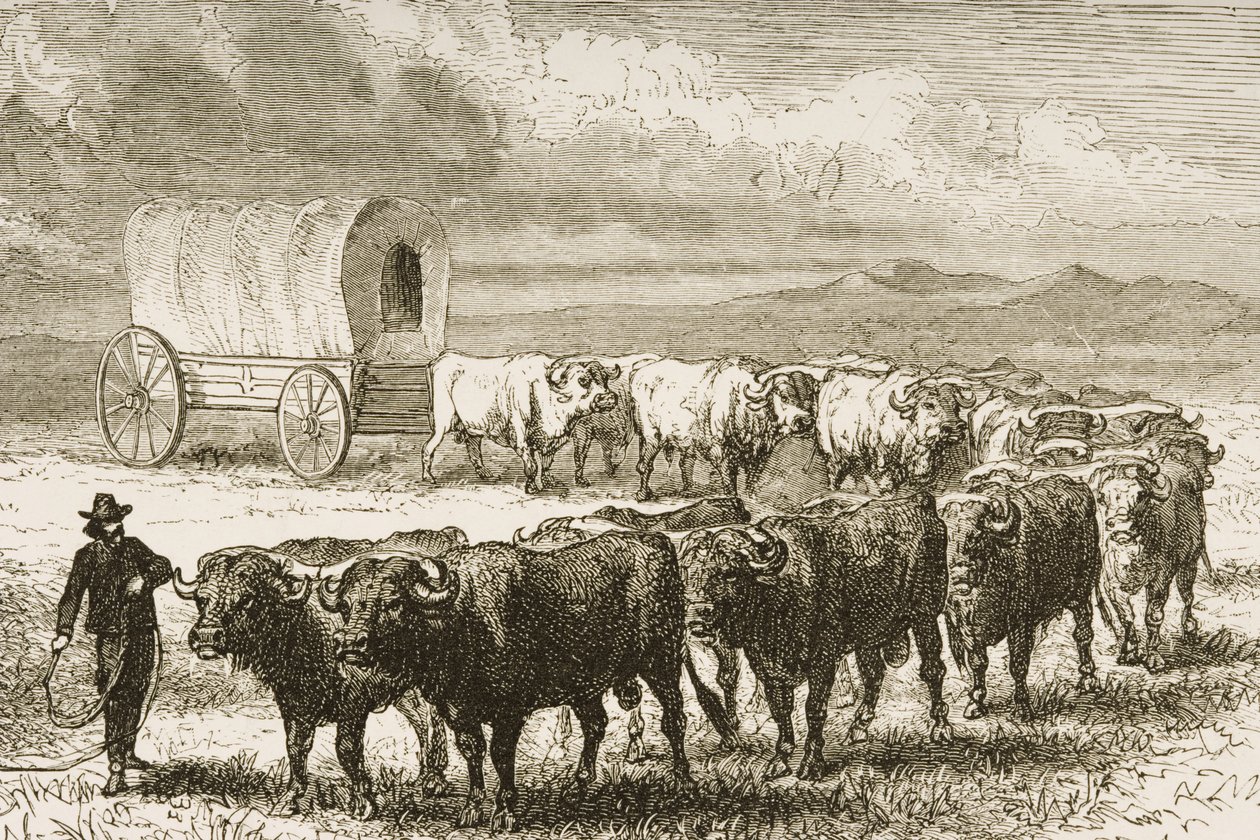 Un chariot traversant les Grandes Plaines entre St. Louis et Denver, c.1870, de 