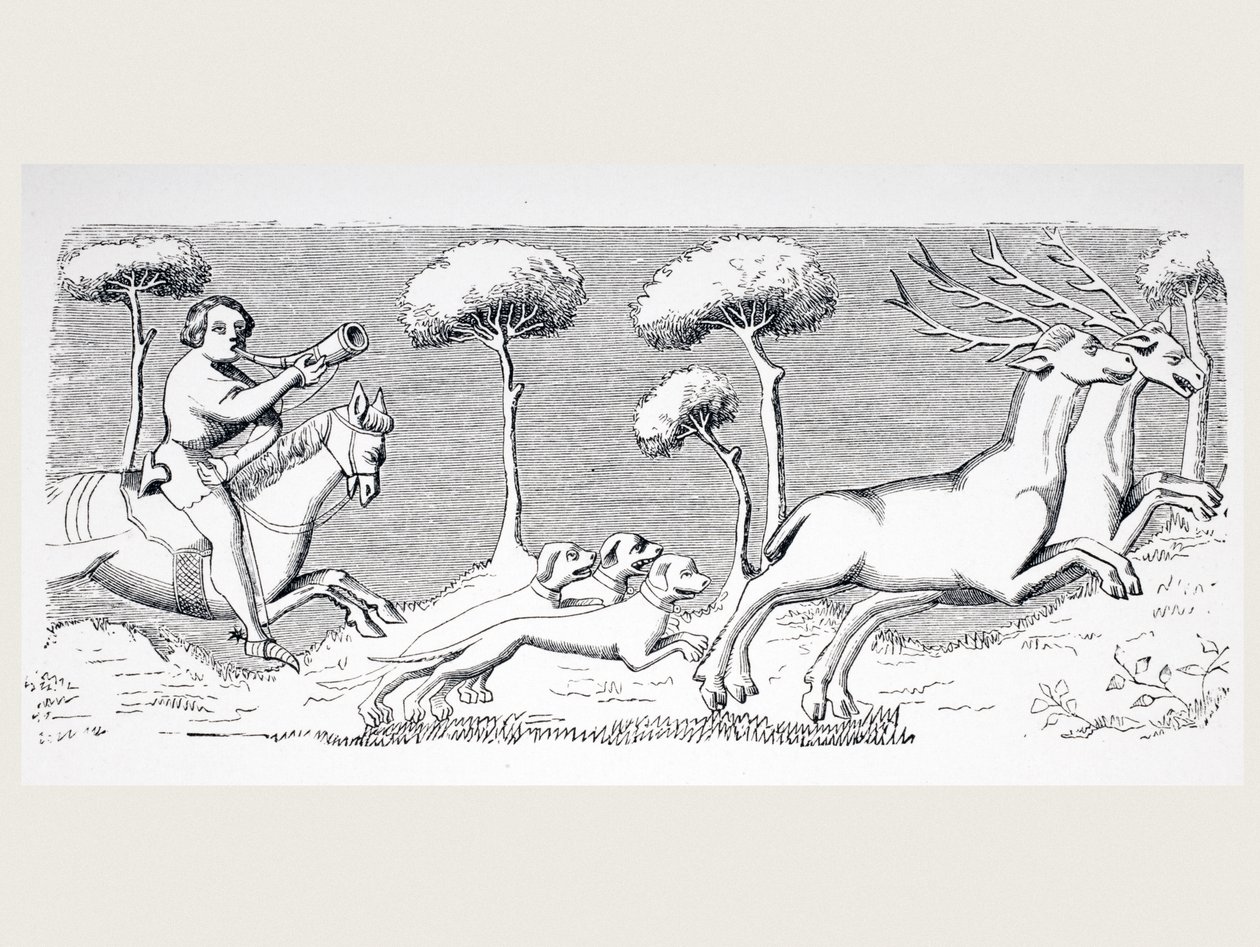 Nature et apparence des cerfs et comment ils peuvent être chassés avec des chiens, d