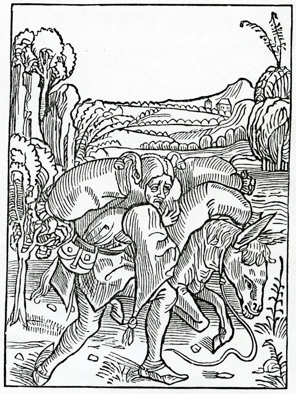 Des pluralités, c