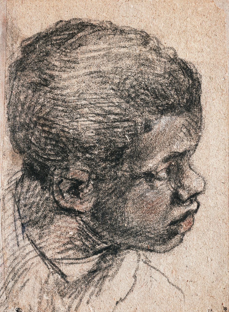 Tête de garçon noir, Paolo Caliari dit Véronèse (1528-1588), dessin - Veronese