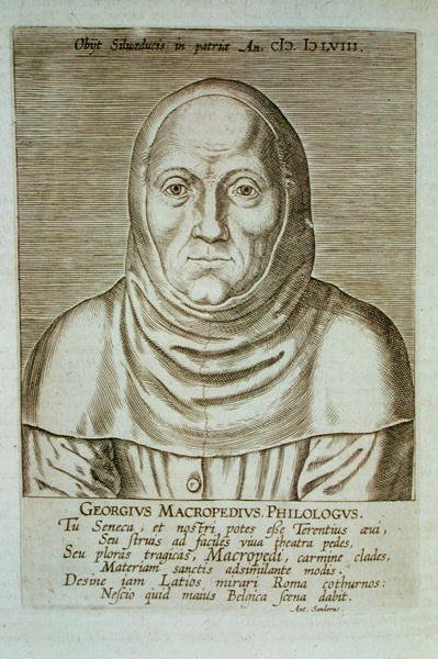 Georgius Macropedius Philologus (c.1486-1588) - (after) Dutch School