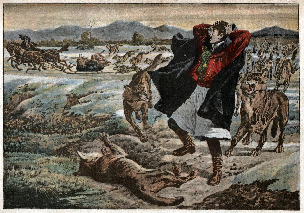 Loups en Transylvanie - Unknown