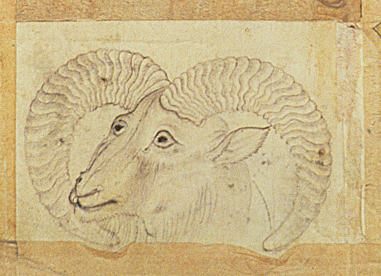 Détail d