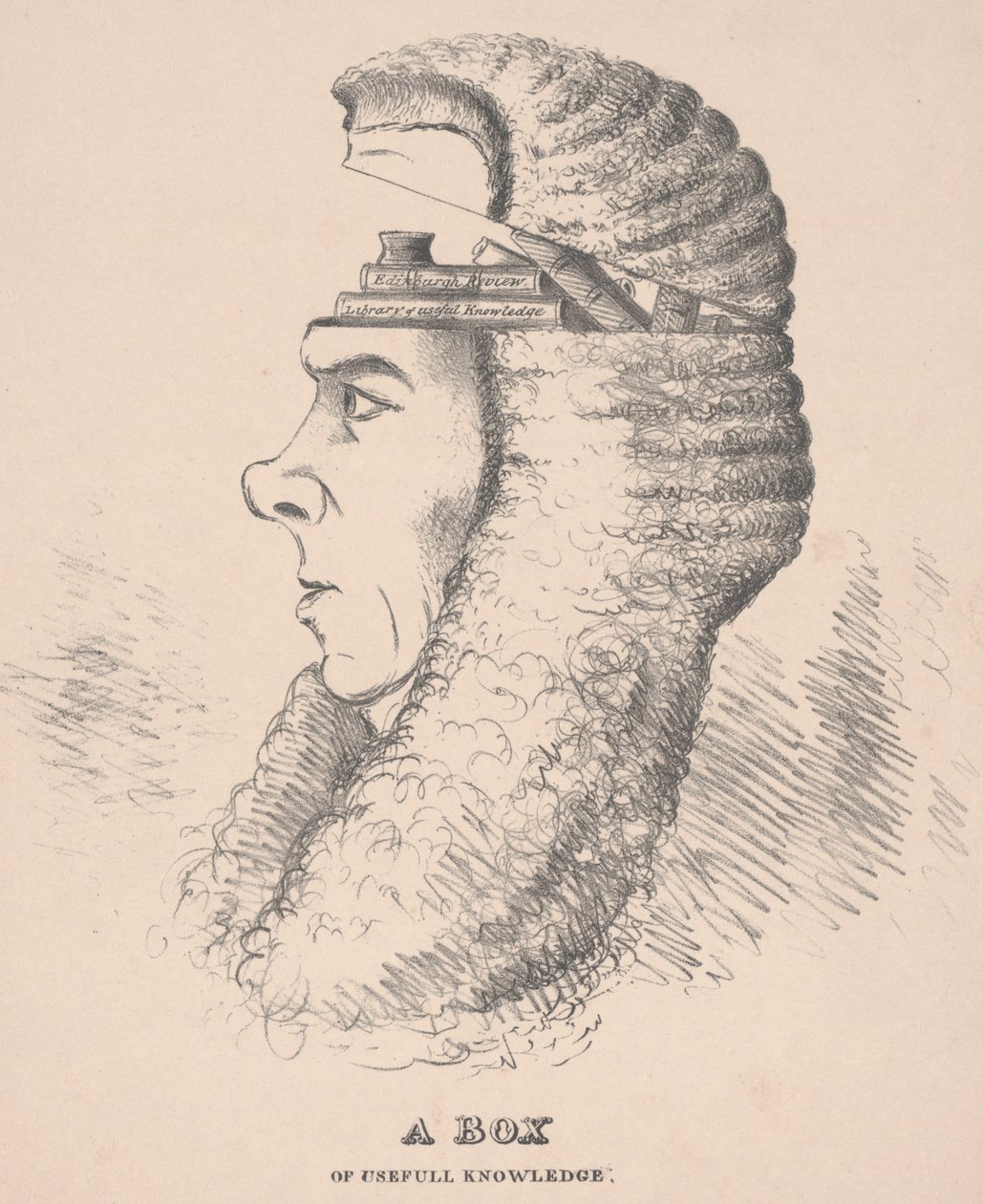 Une boîte de connaissances utiles : Caricature de Brougham, 1832 - English School
