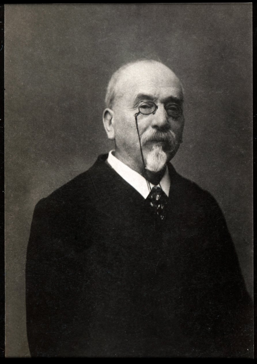 Portrait de Victor Cherbuliez (1829-1899), romancier et auteur français - French Photographer