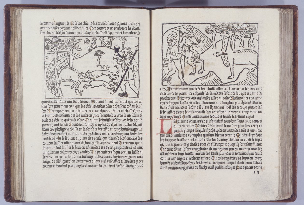 Illustration du Livre du Roy Modus et de la Reine Racio par Henri Ferrières, 1486 - French School
