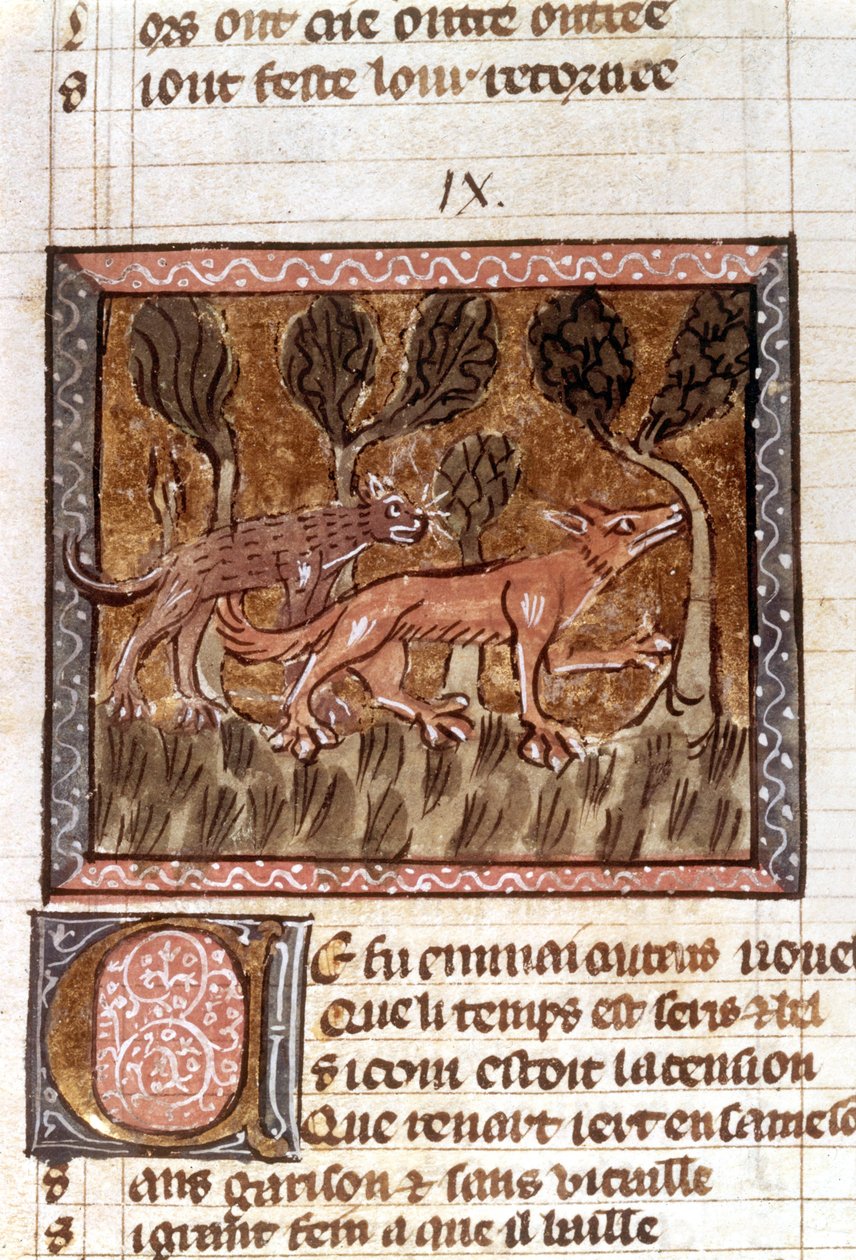 Le renard et le loup, enluminure du manuscrit intitulé Roman de Renart, vers le XIIIe siècle - French School