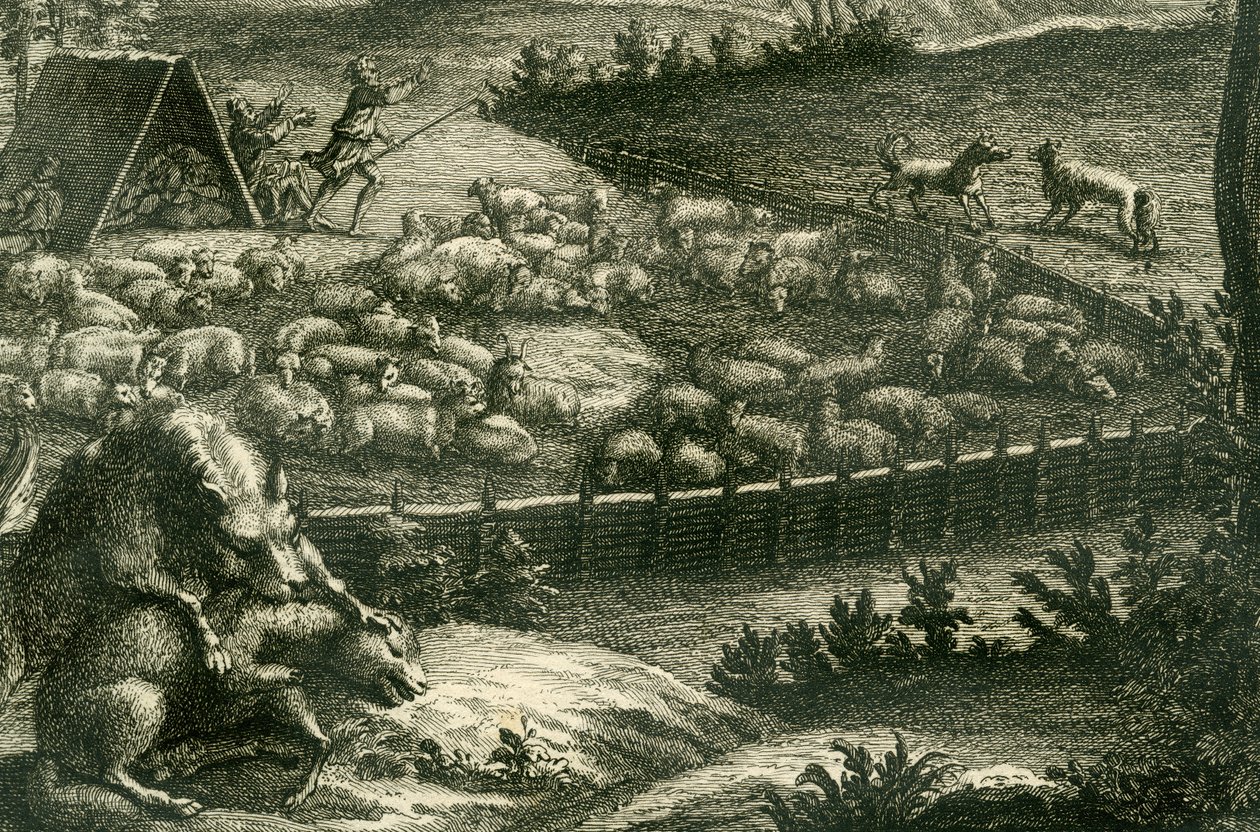 Loup attaquant un mouton, 1731 (détail) - German School