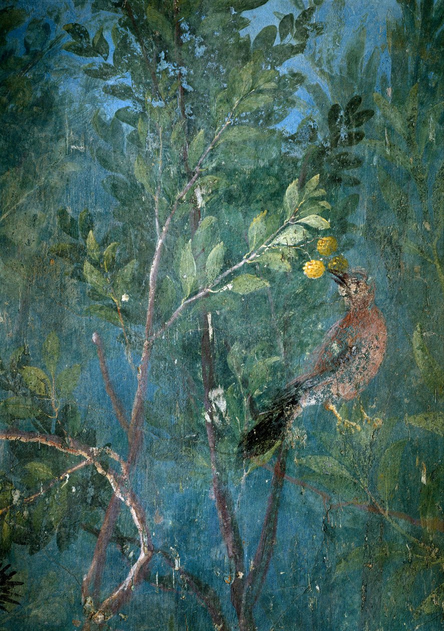 Jardin Trompe-l