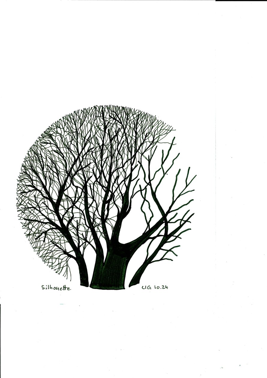 Silhouette - Urs Grünenfelder