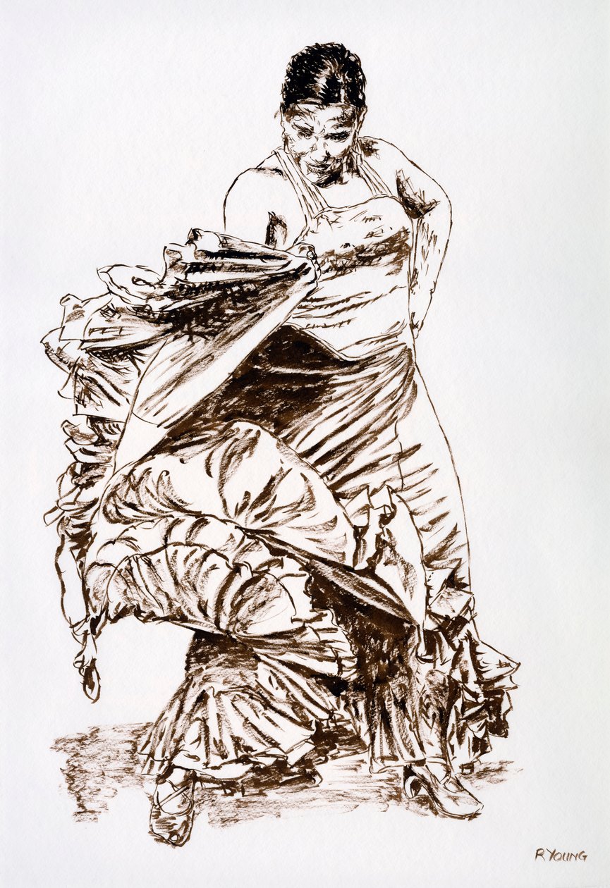Flamenco Flair - Richard Young