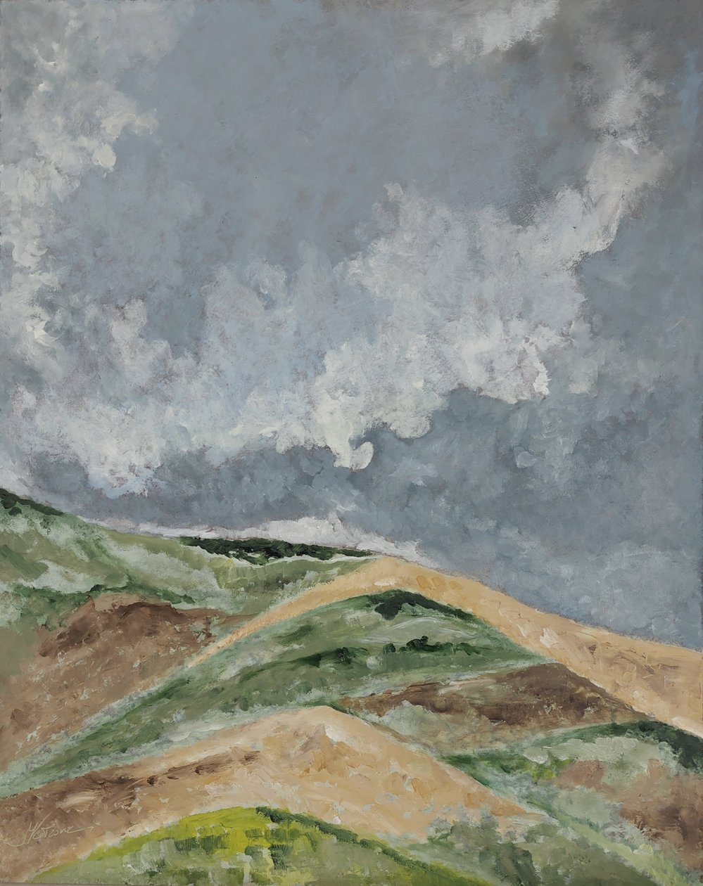 Champs de blé dans les collines. - M. Vet