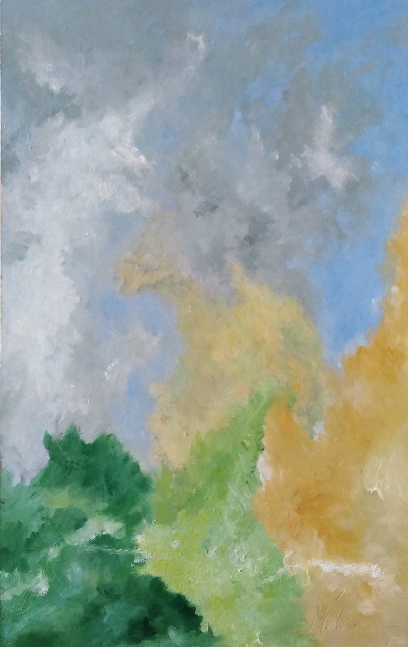 Étudier les haies et les nuages - M. Vet