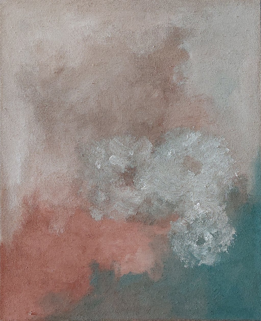 Roses blanches - M. Vet