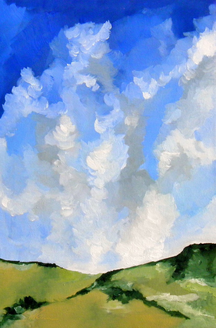 Richesse des nuages - M. Vet