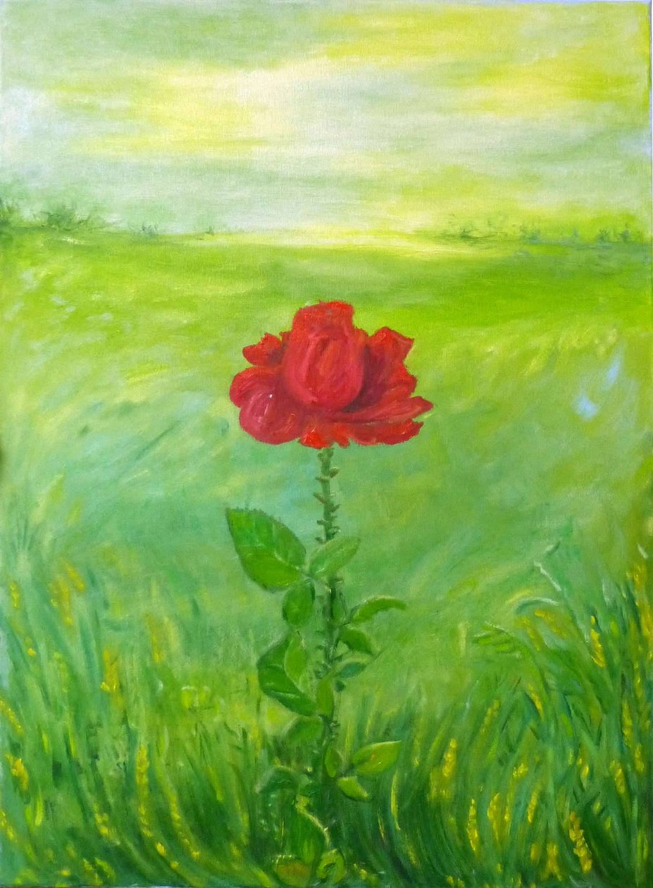 Rose - Elzbieta Goszczycka