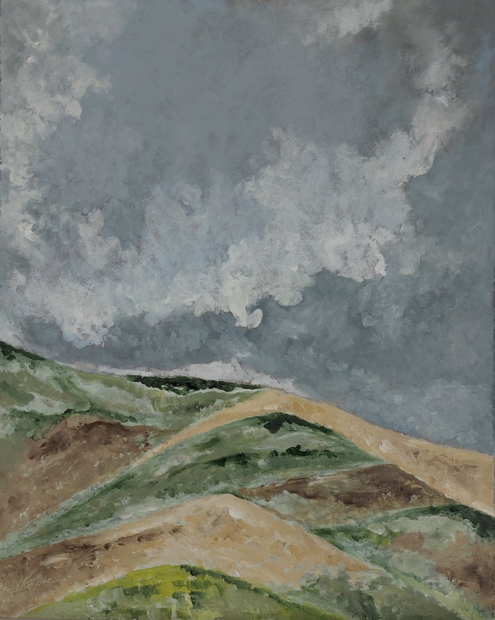 Champs de blé dans les collines. - M. Vet