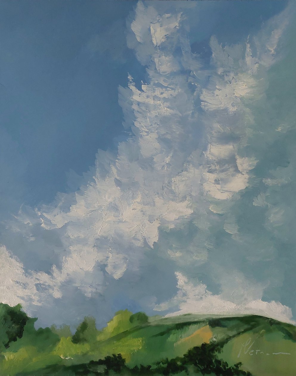 Collines vertes parmi les nuages - M. Vet