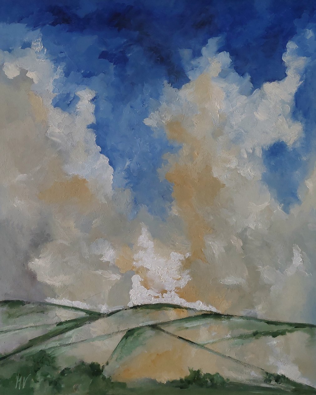 Nuages et champs - M. Vet