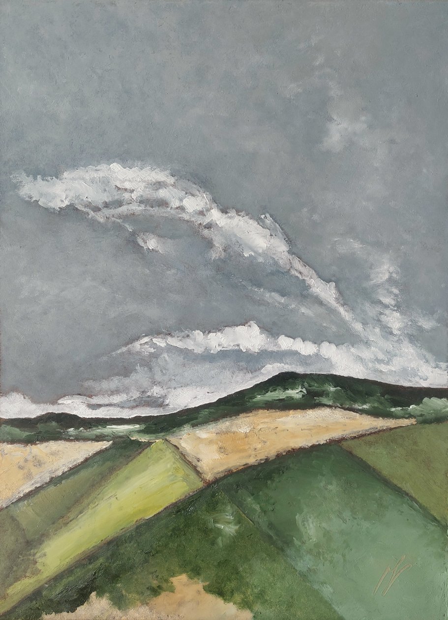 Après la pluie  - M. Vet