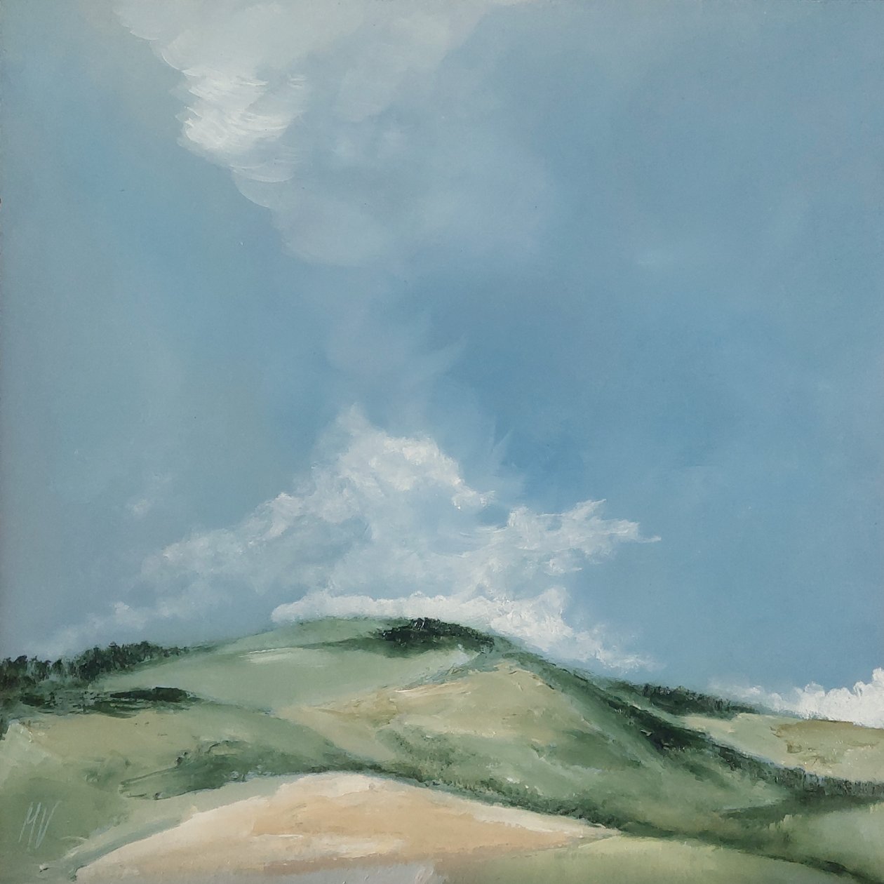 Colline Plate - M. Vet