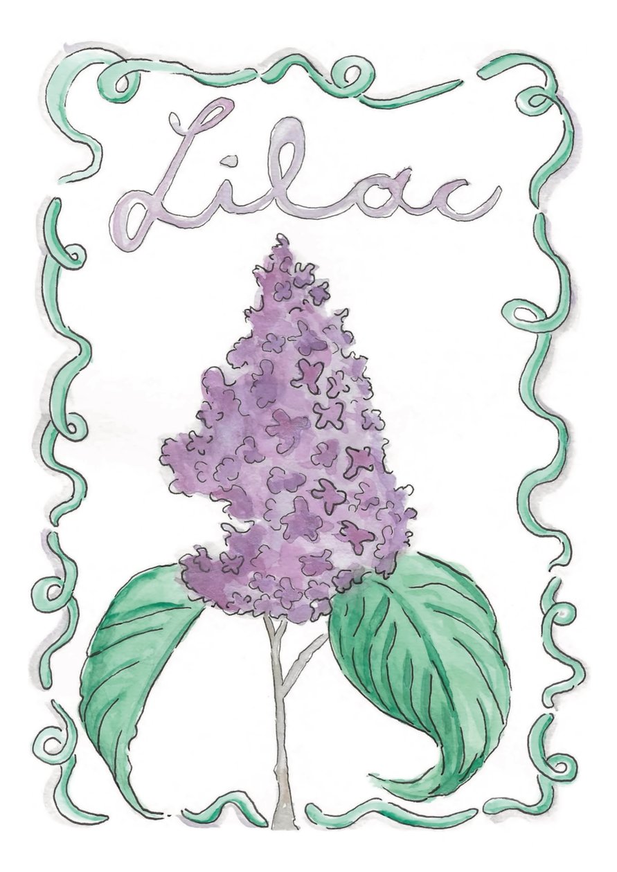 Lilas - june art