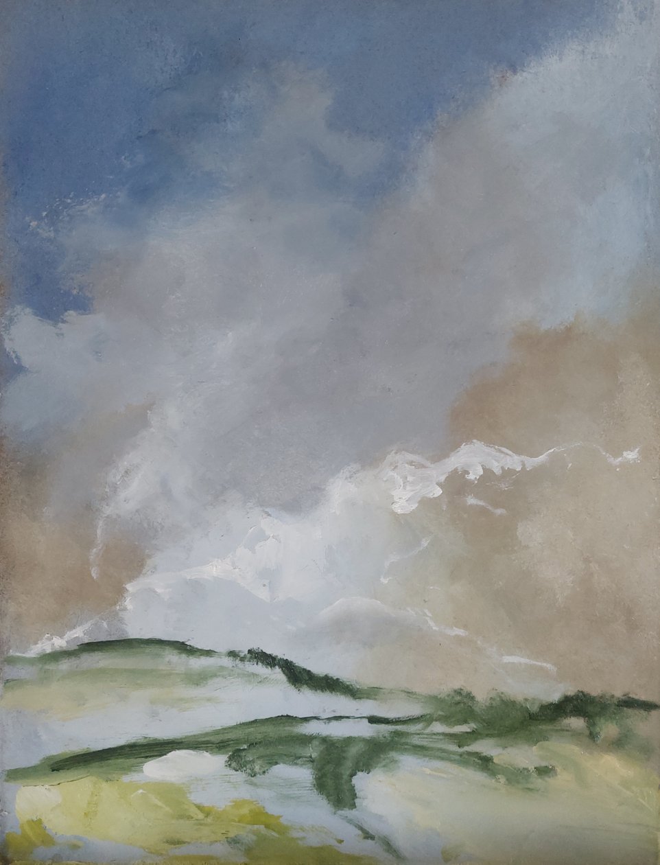 Paysage dissous - M. Vet
