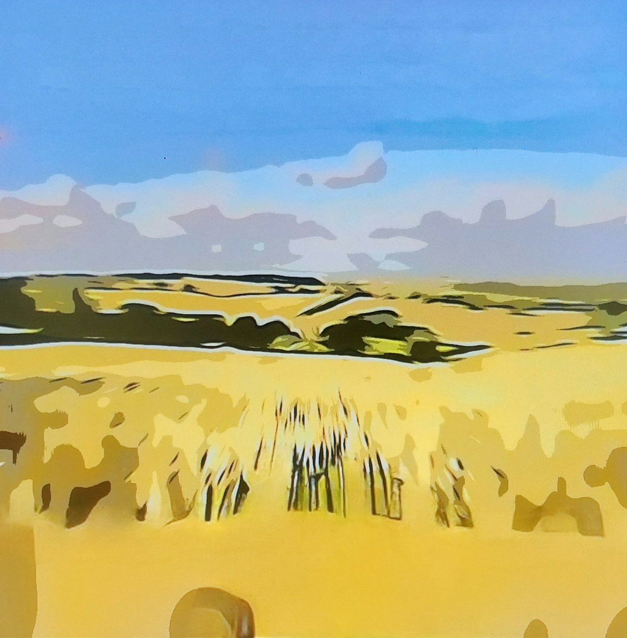 Digitale Landschaft 15 - M. Vet