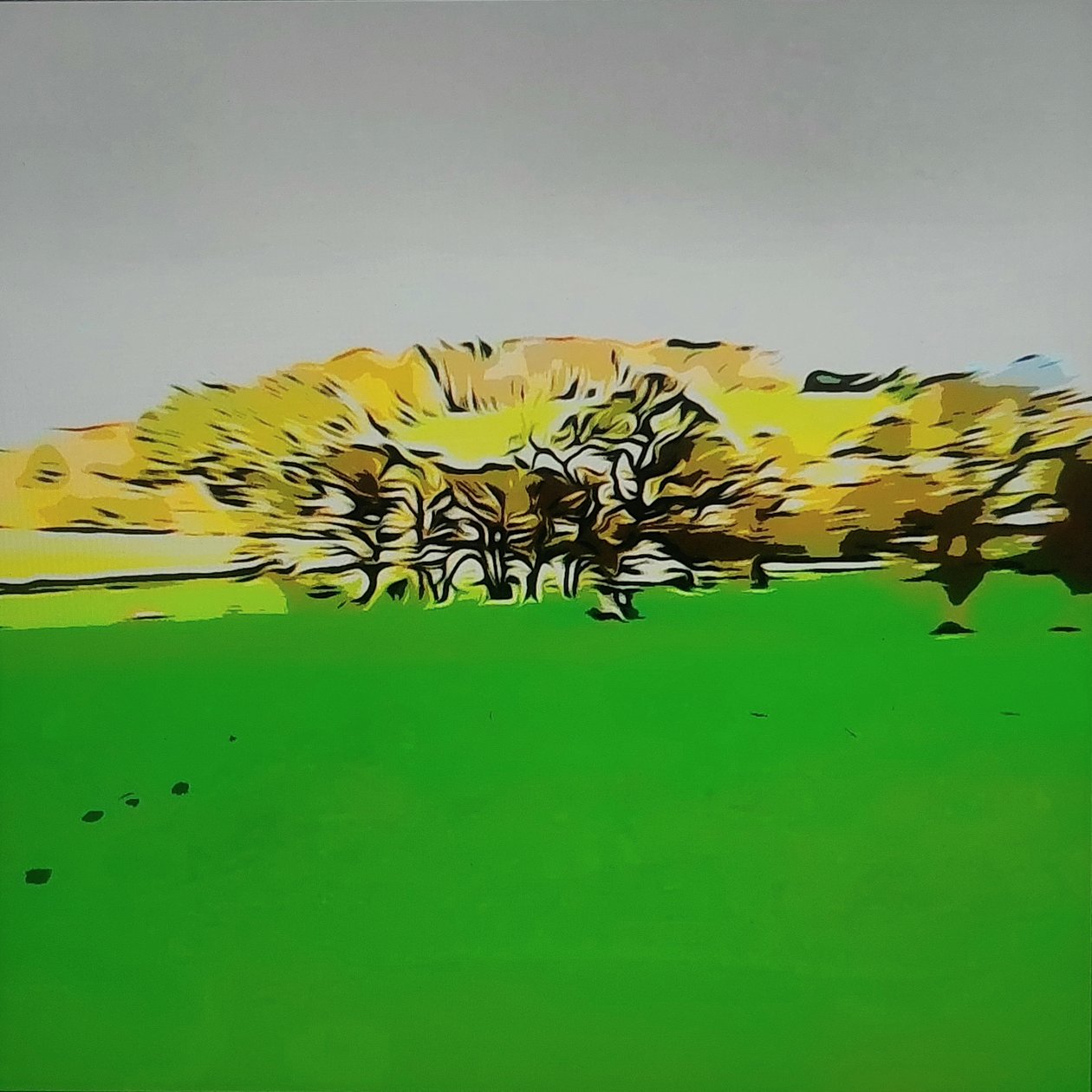 Digitale Landschaft 24 - M. Vet